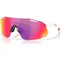Oakley Mann Cybr Dyno Solbriller