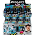 MR. BEAST LAB Swarms Test Tube 2 pack cdu