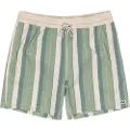 Billabong Sundays Lb Boardshorts grønn