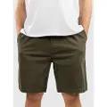 REELL Reflex Lazy Shorts grønn