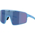 Bliz P001 Solbriller