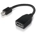 Lenovo Mini-DisplayPort to DisplayPort Adapter - 4X90L13971