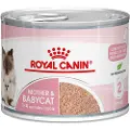 Royal Canin Mother & Babycat Ultra Soft Mousse - 12 x 195 g