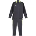 Puma individualLIGA Tracksuit Men, Clothing, Galactic Gray/Yellow Alert, M