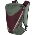 Dynafit Traverse 22l Sekk