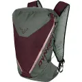 Dynafit Traverse 22l Sekk