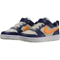 Nike Court Borough Low Recraft Treningssko