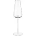 Blomus BlomusBelo Champagneglass 20 cl 2-pakning ClearTransparentVinglassFra Homeroom
