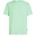 O'Neill Box Logo T-skjorte grønn
