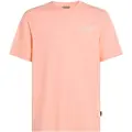 O'Neill Box Logo Kortarmet T-skjorte