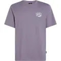 O'Neill Box Logo Kortarmet T-skjorte