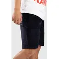 Fat Moose Fox Shorts blå