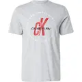 Calvin Klein Jeans for man. LV04RC850G Macro Circle T-shirt grey (S), Casual, Cotton, Short sleeve