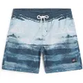 O'Neill Cali Gradient 14" Kids Boardshorts blå