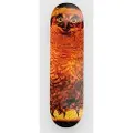 Jacuzzi Unlimited Michael Pulizzi Hoo 8.375" Skateboard Deck mønster