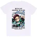 Heroes Inc Official Demon Slayer Whirlpool Kortarmet T-skjorte
