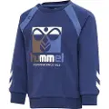 Hummel Lassen Collegegenser
