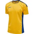 Hummel Authentic Poly Kortarmet T-skjorte