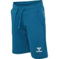 Hummel Flow Shorts