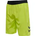 Hummel Lead Pro Training Shorts