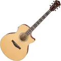 Ibanez AE170 Natural Top Transparent Red Back and Sides - Nearly New