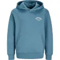 Jack & Jones Brandes Relaxed Hettegenser