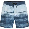 O'Neill Cali Gradient 15'' Boardshorts blå