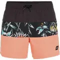 O'Neill Mix & Match Cali Block 15'' Boardshorts svart
