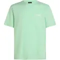 O'Neill Original Cali Logo T-skjorte grønn