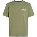 O'Neill Original Cali Logo T-skjorte grønn