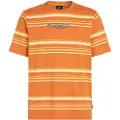 O'Neill O'Riginals Stripe T-skjorte oransj