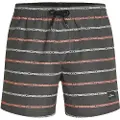 O'Neill Cali First 15'' Boardshorts grå