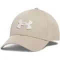 Under Armour Blitzing Cap
