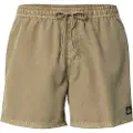 Quiksilver Everyday Surfwash Volley 15 Boardshorts grønn