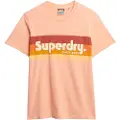 Superdry Terrain Logo Stripe Relxed Kortarmet T-skjorte