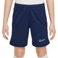 Nike Dri-fit Academy 25 Shorts