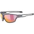 Uvex 5330872213, Unisex, Full rim, Grå, Grå, Polykarbonat, Rød