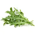 Click & Grow Click and Grow Smart Garden Refill 3-pack - Leaf Mustard Refill
