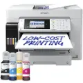 Epson EcoTank Pro ET-16685 - Multifunksjonsskriver - farge - ink-jet - ITS - A3 (medie) - opp til 25 spm (trykking) - 550 ark - 33.6 kbps - USB, LAN, USB-vert, Wi-Fi