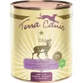 Terra canis 6 x 800 g - Vilt, gresskar, amarant & tyttebær