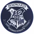 Subsonic Harry Potter Musematte