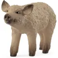 Schleich Farm World Mangalica Piglet