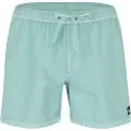 Quicksilver Everyday Surfwash Volley 15 Boardshorts blå