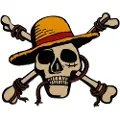 Fanattik Begrenset Utgave One Piece Medaljong Jolly Roger-dekorasjon