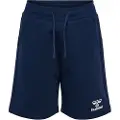 Hummel Flow Shorts