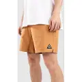Passenger Traveller 2.0 Organic All Purpose Shorts brun