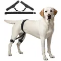 Vevor hoftestøtte for hund, pustende og slitesterk hoftestøtte for hunder, bakbeinsstøtter for hunder, smertelindring, hoftesele for hund med reflekterende kant for restitusjon, størrelse XL