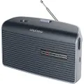 Grundig Music 60X white/grey