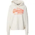 Superdry Vl Neon Relaxed Hettegenser