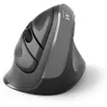 Ewent Ew3229 Ergonomisk Mus